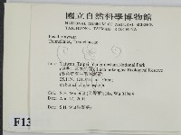 登錄號:F0013477藏品圖，第2張
