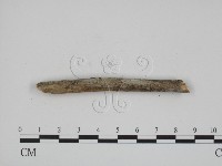 登錄號:F0013477藏品圖，第1張