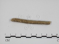登錄號:F0013477藏品圖，第3張