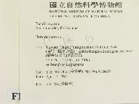 刺皮菌屬藏品圖，第2張