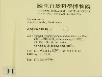登錄號:F0013481藏品圖，第2張