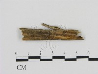 登錄號:F0013481藏品圖，第3張