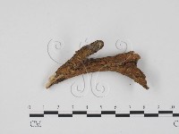 登錄號:F0013482藏品圖，第3張