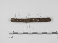 登錄號:F0013483藏品圖，第1張