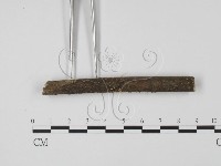 登錄號:F0013483藏品圖，第3張