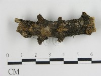 登錄號:F0013484藏品圖，第1張