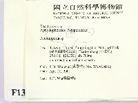 多年臥孔菌屬藏品圖，第2張