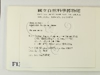 小皮傘屬藏品圖，第2張