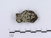 登錄號:F0013489藏品圖，第1張