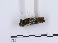 登錄號:F0013489藏品圖，第4張