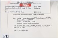 登錄號:F0013489藏品圖，第5張