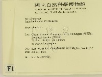 登錄號:F0013490藏品圖，第2張