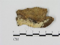 登錄號:F0013490藏品圖，第1張