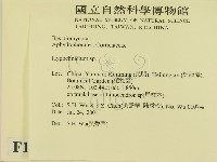 登錄號:F0013491藏品圖，第2張