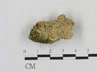 登錄號:F0013491藏品圖，第1張