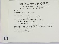 寡孔菌屬藏品圖，第2張