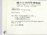 花耳屬藏品圖，第2張