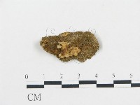 登錄號:F0013495藏品圖，第1張