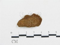 登錄號:F0013495藏品圖，第3張
