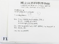 登錄號:F0013496藏品圖，第2張