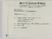 刺革菌屬藏品圖，第2張