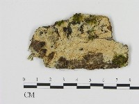 登錄號:F0013499藏品圖，第1張