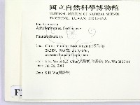 顯絲菌屬藏品圖，第2張