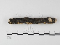 登錄號:F0013503藏品圖，第3張