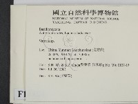 登錄號:F0013504藏品圖，第2張