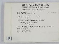 絲齒菌屬藏品圖，第2張