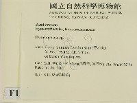 刺革菌屬藏品圖，第2張