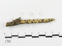 登錄號:F0013507藏品圖，第3張