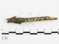 登錄號:F0013507藏品圖，第5張