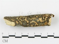 登錄號:F0013510藏品圖，第3張
