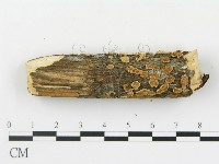 登錄號:F0013510藏品圖，第5張