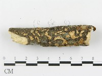 登錄號:F0013510藏品圖，第6張