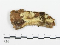 登錄號:F0013513藏品圖，第1張