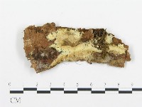 登錄號:F0013513藏品圖，第3張