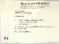 登錄號:F0013515藏品圖，第2張