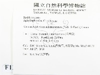 登錄號:F0013516藏品圖，第2張