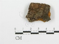 登錄號:F0013516藏品圖，第1張