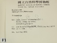附毛菌屬藏品圖，第2張