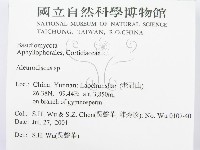 盤革菌屬藏品圖，第2張