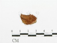 登錄號:F0013521藏品圖，第3張