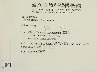 寡孔菌屬藏品圖，第2張