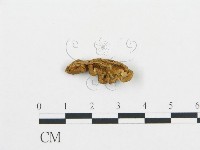 登錄號:F0013525藏品圖，第1張