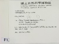 寡孔菌屬藏品圖，第2張