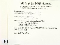 登錄號:F0013528藏品圖，第2張