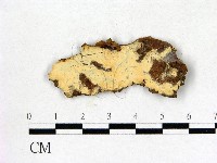 登錄號:F0013528藏品圖，第1張