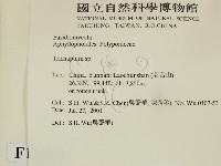 附毛菌屬藏品圖，第2張